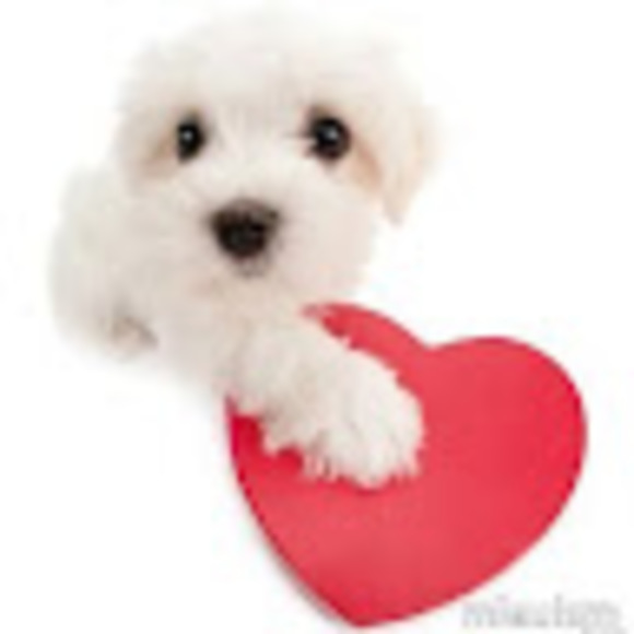 Meet your Posher, Marlete - Picture 1 of 1